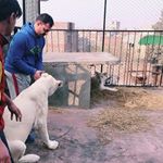 Profile Picture of SAMi UllaH Butt (@sami_ullah_butt8008) on Instagram