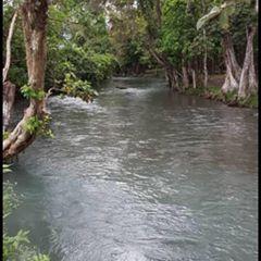 Profile Picture of Ariel Aviles (@@arielaviles2) on Tiktok