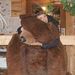 Profile Picture of Jolynn Mackinnon-Walker (@jmackinnonwalke) on Pinterest