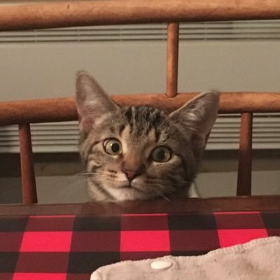 Profile Picture of Isabelle Raymond (@i_raymondi) on Twitter