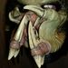 Profile Picture of Sean Simmons (@climbersean) on Pinterest