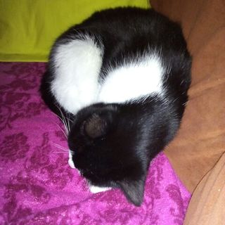 Profile Picture of Corry Vanderveen (@corry.vanderveen.16) on Facebook