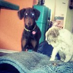 Profile Picture of Christopher Fenton (@kiddosteinmind) on Instagram