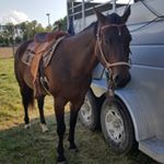Profile Picture of Jetta Heath (@horseyjet) on Instagram