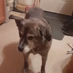 Profile Picture of David Traxel (@David-Traxel) on Facebook