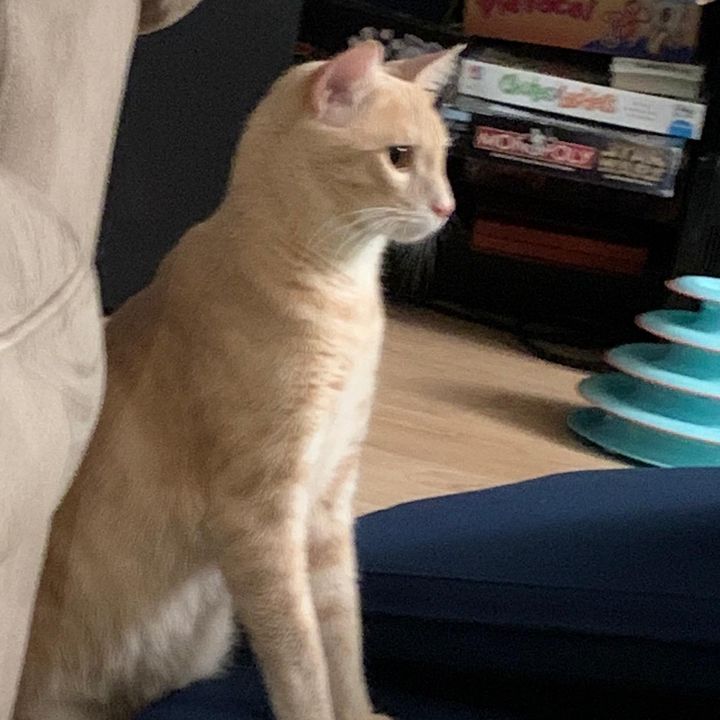 Profile Picture of Dustin Strom (@dustybuns458) on Tiktok