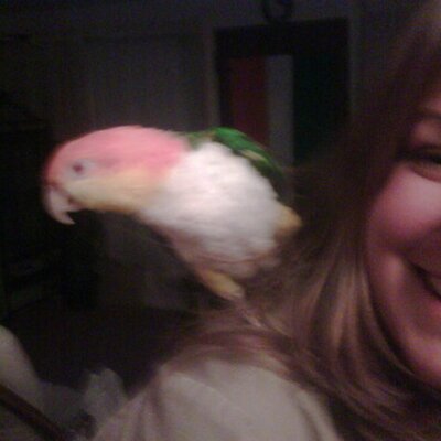 Profile Picture of Tara Schneider-Moran (@TaraLSchneider) on Twitter