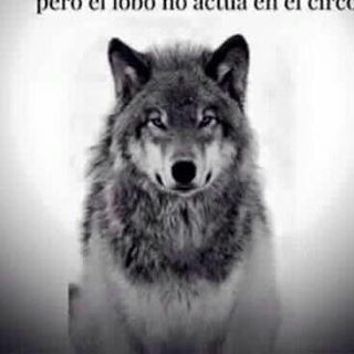 Profile Picture of Alfonso Cordero (@Alfonso-Cordero) on Facebook