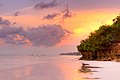 Profile Picture of Diani Beach - Wikipediaon Wikipedia
