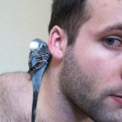 Profile Picture of Andrew Skeens (@Drskeens) on Twitter