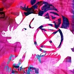 Profile Picture of XR Forest Of Dean (@dean_xr) on Twitter