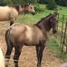 Profile Picture of Ed Reser (@ed.reser.56) on Facebook