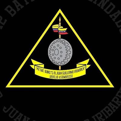 Profile Picture of 142 B.Blin. G/B Juan Guillermo Iribarren (@142bblin) on Twitter