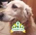 Profile Picture of Barry Osullivan (@barry.osullivan.165) on Facebook