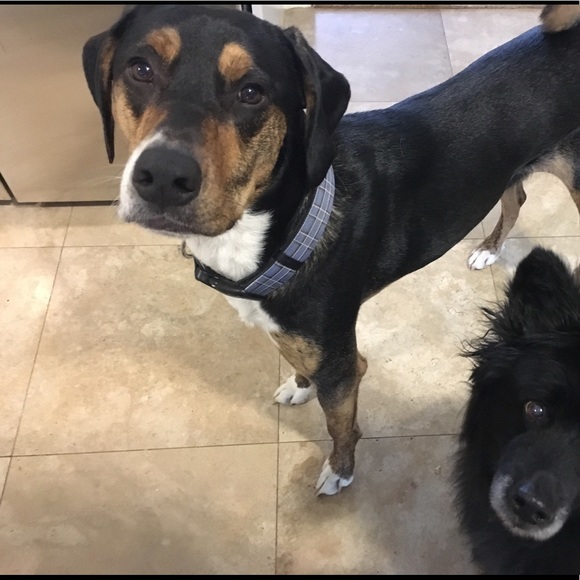 Profile Picture of Beth Boyd (@bb242014) on Poshmark