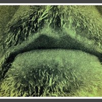 Profile Picture of Roger Philipp (@roger-philipp-1) on Quora