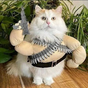 Profile Picture of MakiMura (@Sr.MakiMura) on Youtube