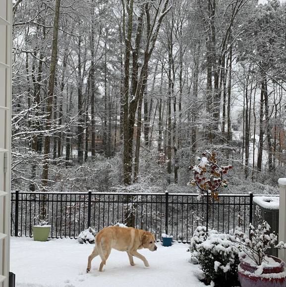 Profile Picture of Linda Stakem (@1lula) on Poshmark