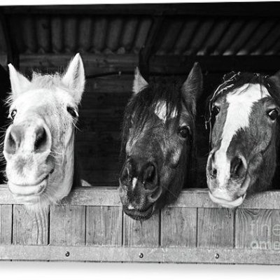 Profile Picture of Juan Antonio Peinado (@JuanAntonioPei4) on Twitter