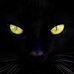 Profile Picture of Jim Aupperle (@Jim-Aupperle) on Facebook