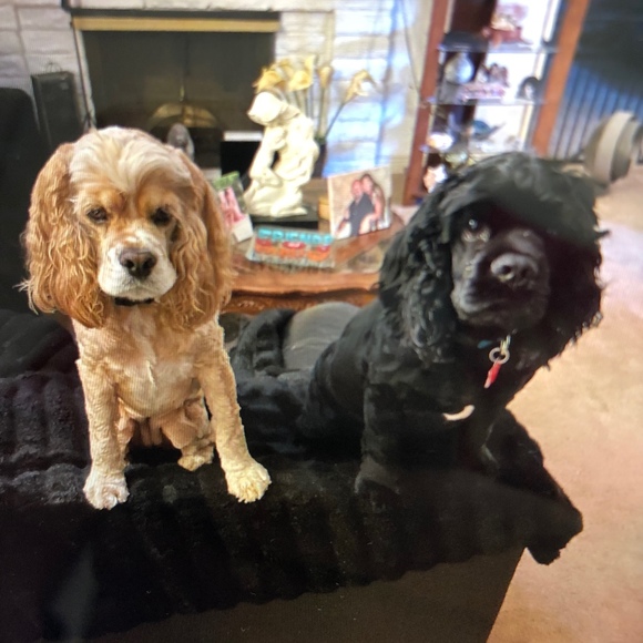 Profile Picture of Brian Keeney (@briankeeney) on Poshmark