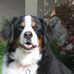 Profile Picture of Teresa Ziolkowski (@teresa.ziolkowski.5) on Facebook