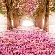 Profile Picture of Guadalupe Aguilar (@lupe_paz_4ever) on Twitter