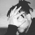 Profile Picture of Angel Null (@angel.null.9619) on Instagram