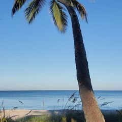 Profile Picture of robertmackinnon91 (@robertmackinnon91) on Tiktok