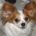 Profile Picture of Janet Farmer (@janet.farmer.73) on Facebook