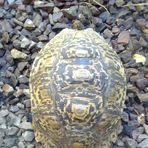 Profile Picture of Jaime Gove (@Jaime-Gove) on Facebook