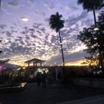Profile Picture of Winny Cheng (@fege) on Instagram