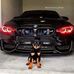 Profile Picture of Thomas Asmus (@thomas.asmus.35) on Facebook
