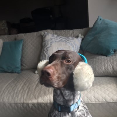 Dave Kozel - Twitter Profile Picture of Dave Kozel (@dave_kozel) on Twitter