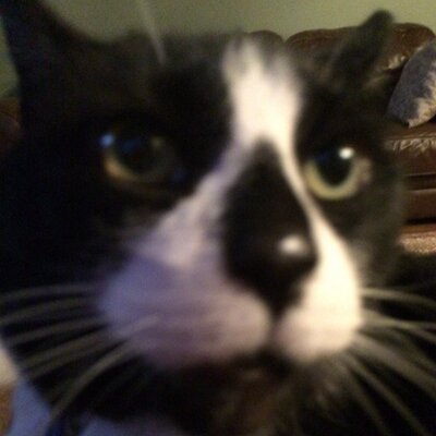 Profile Picture of Carl Fricke (@@FrickeCarl) on Twitter