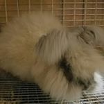 Profile Picture of Amy Tyree Brownell (@tyreebrownell) on Instagram