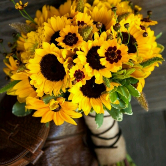 Profile Picture of Danielle Eutsler (@southernmomaaa3) on Poshmark