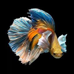 Profile Picture of Jon Brausch (@jonb17) on Tiktok