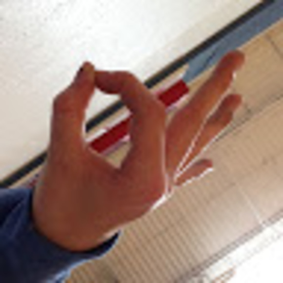 Profile Picture of Alican Kinyon (@kinyona) on Poshmark