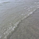 Profile Picture of Calhoun Alice (@freelmario) on Instagram