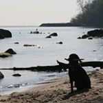 Profile Picture of Peter Geller (@petergeller50) on Instagram