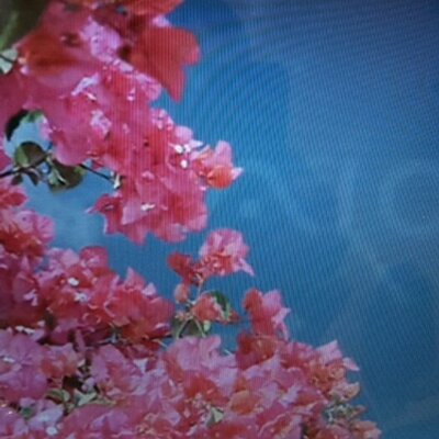 Profile Picture of Seung Kook, Choi (@@jombaksk) on Twitter