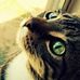 Profile Picture of Ray Shellenbarger (@ray.shellenbarger.12) on Facebook