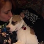 Profile Picture of Amanda Carlson (@amanda4nc) on Instagram