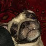 Profile Picture of Jean Wiborg (@jean.wiborg) on Facebook