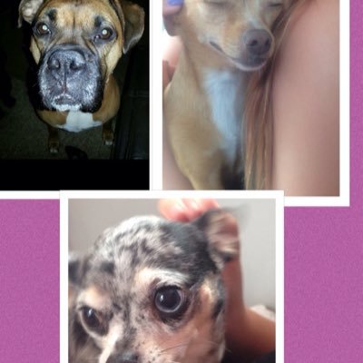 Profile Picture of Celine,bell And Em (@cellma04) on Twitter