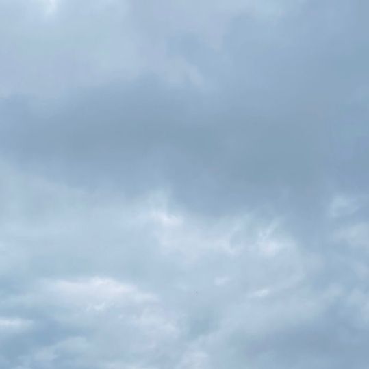 Profile Picture of Wendell Reeves (@wendellreeves_1701) on Tiktok