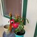 Profile Picture of Louise Keller (@louise.keller.399) on Facebook