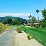 Profile Picture of Danny E. Sustaita Sr. (@yodannylookatme) on Instagram