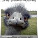 Profile Picture of Tony Reitz (@antonyss) on Pinterest